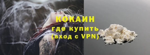 индика Приозерск