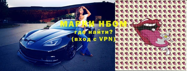 хмурый Алексин