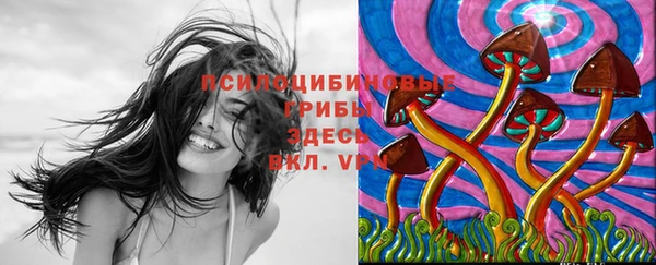 MDMA Аркадак