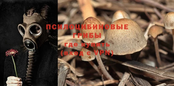 гашик Алексеевка